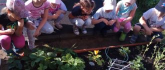 Environmental social and educational project “Ekolyata-preschool children” for senior preschool age