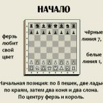 chess rules for beginners