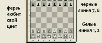шахматы правила для начинающих